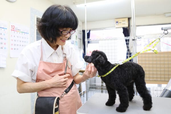 トリミングの様子